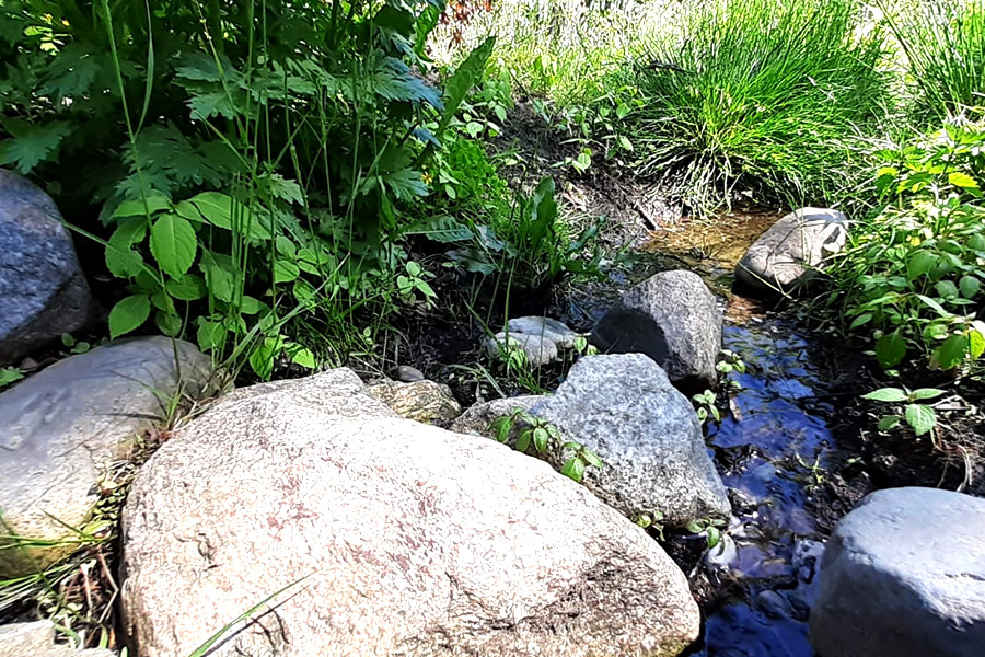 Preview_Waldwasserlauf