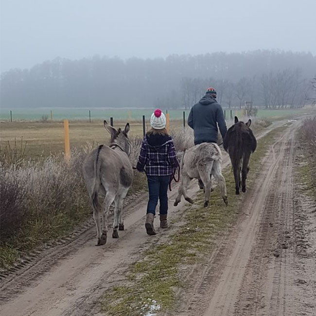 Quadrat_Eselspaziergang4