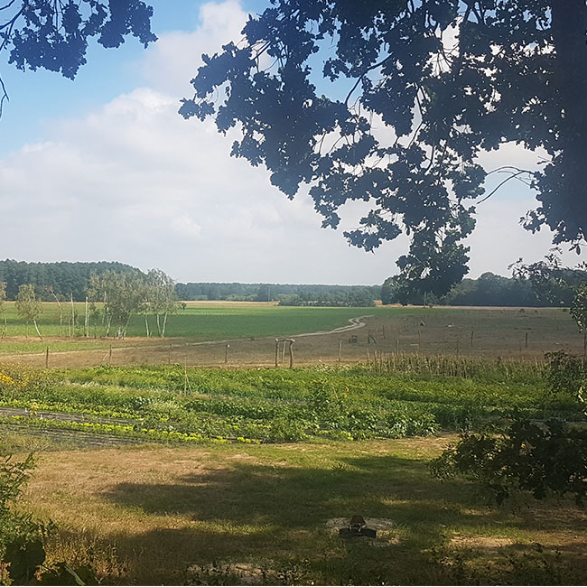 Quadrat_Gem.garten_7