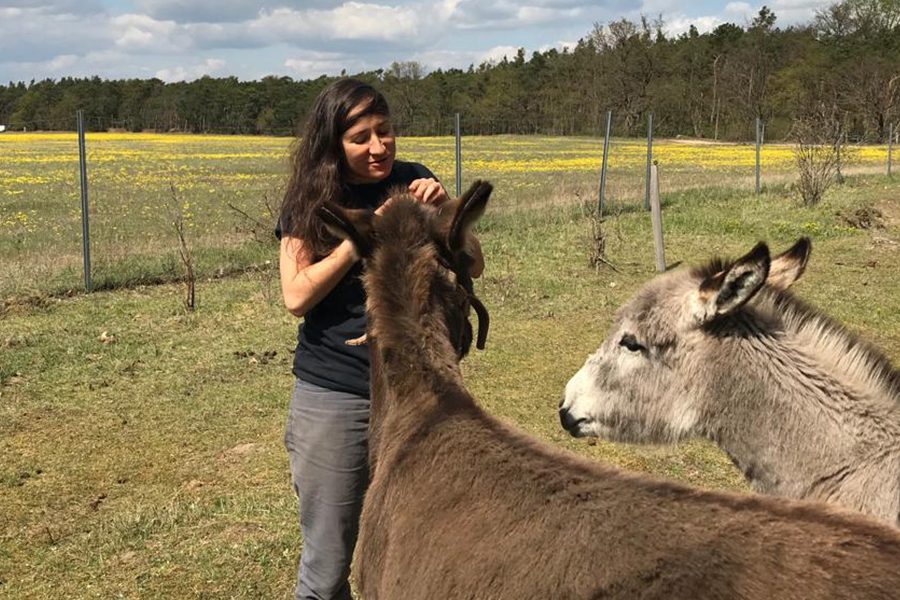 Preview_Catalina Gubandru