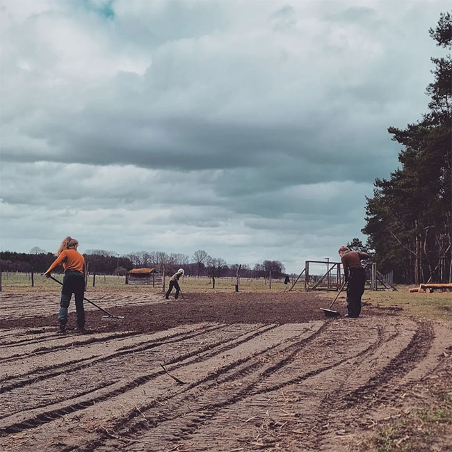 Quadrat_Gem.garten_11