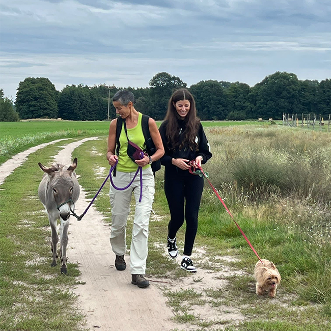 Quadrat_Eselspaziergang_Patricia