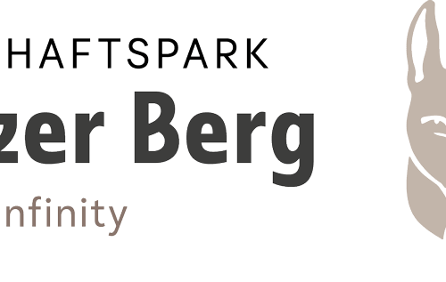 Logo-rietzerberg-infinity