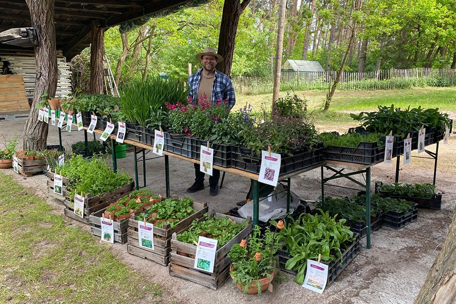 Preview_Gartenmarkt_Max